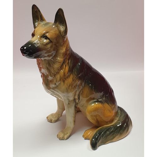 14 - Beswick pottery model of a seated German Shepherd 
H:35cm