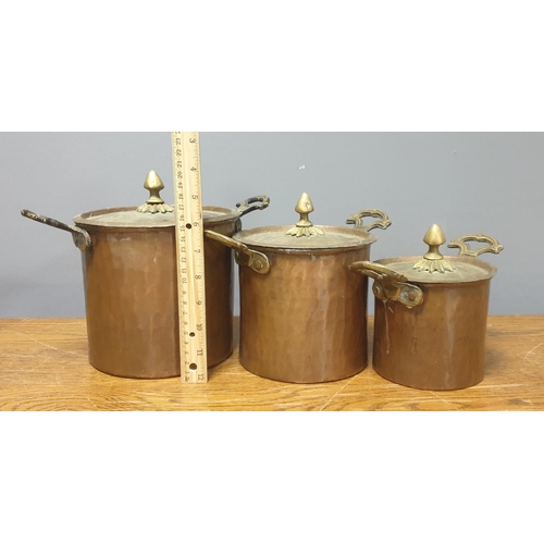 103 - 3 x Copper Pots with Lids, Largest: height 20cm with 27cm diameter