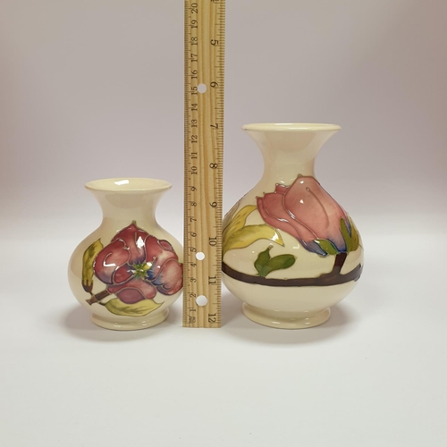 150 - Lot of 2x Moorcroft 'Magnolia' pattern Vase, tallest 14cm high