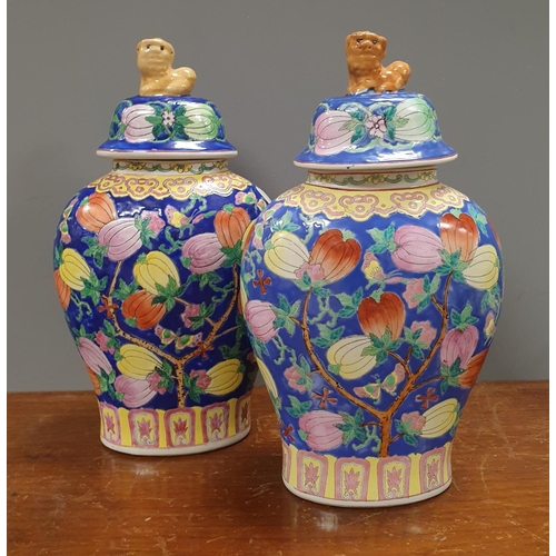 1 - Pair of Lidded Urn Vases with Fu Dog Lids, Height 40cm