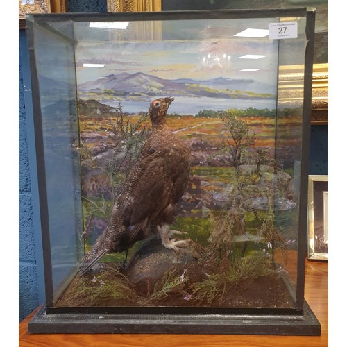 27 - Taxidermy Grouse in Glass Case, H:48 x W:45 x D:23cm