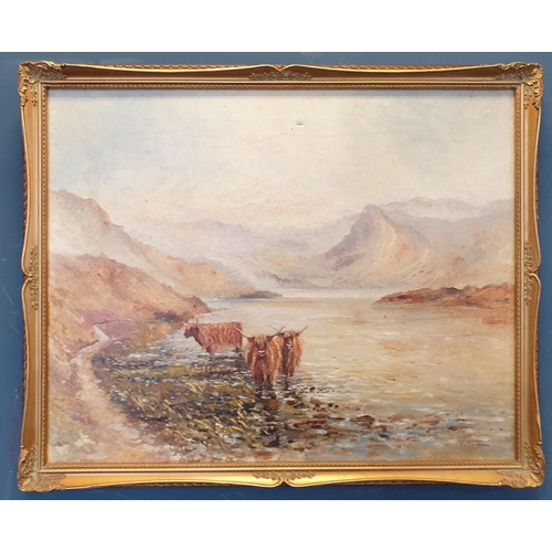 26 - Gilt Framed Oil on Canvas by M McShane, Highland Cows, H:45 x W:56cm