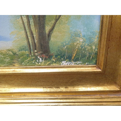 364 - Gilt framed painting on canvas - Woodland Scene, H:44 x W:39cm