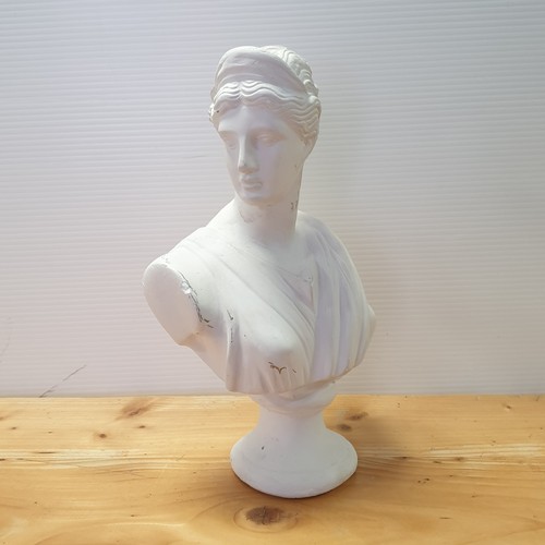 443 - Bust Ornament H: 33cm  x 20cm Deep