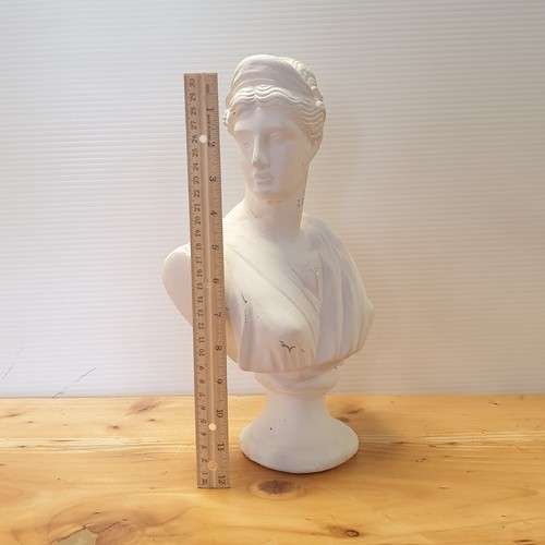 443 - Bust Ornament H: 33cm  x 20cm Deep