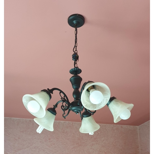 477 - Black Five Branch Ceiling Light with Glass Shades, H:65 x D:60cm