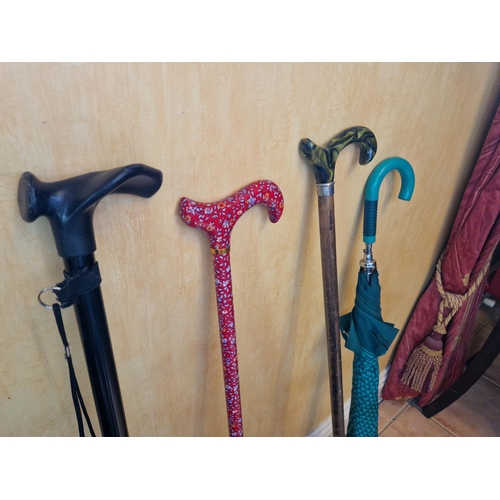 70 - Lot of Three Walking Canes (2x Folding) and an Umbrella (Umbrella Length 87cm)