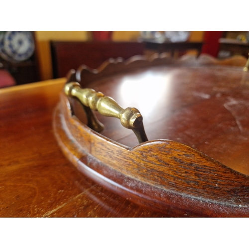 81 - Edwardian Mahogany Tray with Brass Handles, L:59 x W:42cm