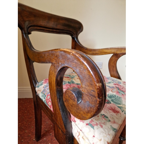 282 - Georgian Mahogany Carver Chair, H:88 x W:58 x D:56cm, Seat Height 49cm