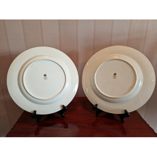 459 - Pair of Decorative Wedgwood Plates, Diameter 26.5cm