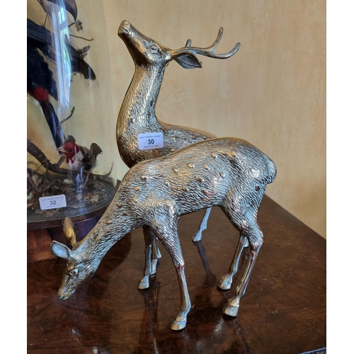 30 - Pair of Brass Stag and Doe Ornaments, tallest 35cm high