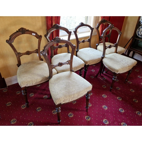 41 - Set of Six Rosewood Dining Chairs
