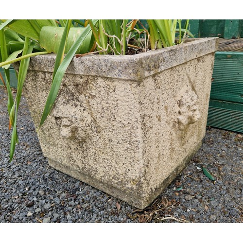 537 - Pair of Square Stone Garden Planters with lion head detail, H:31 x W:36 x D:36cm