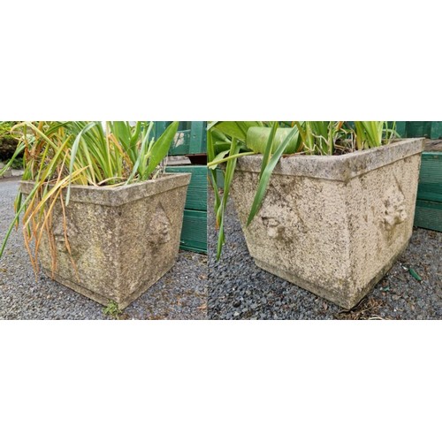 537 - Pair of Square Stone Garden Planters with lion head detail, H:31 x W:36 x D:36cm