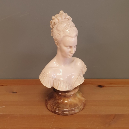 25 - Bust on Stand , Height 25cm