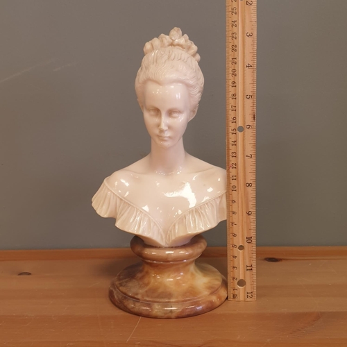 25 - Bust on Stand , Height 25cm