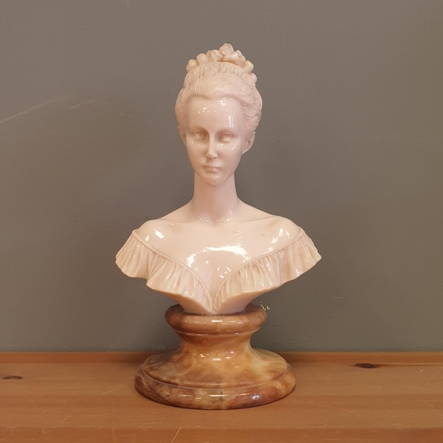 25 - Bust on Stand , Height 25cm