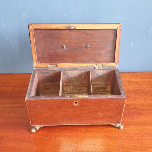 51 - Antique Mahogany Tea Caddy on Brass Legs