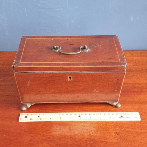 51 - Antique Mahogany Tea Caddy on Brass Legs