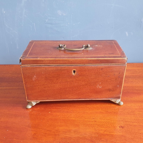 51 - Antique Mahogany Tea Caddy on Brass Legs