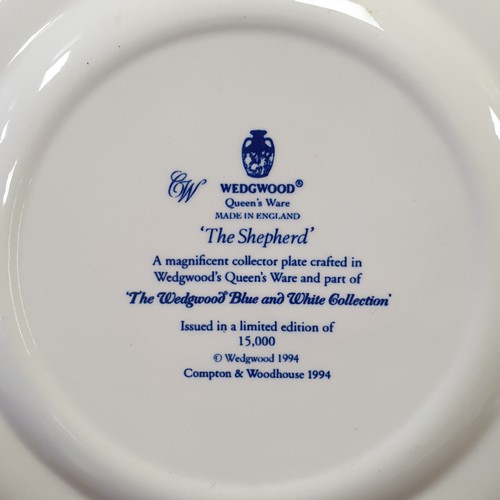 355 - Collection of Wedgwood Queens Ware Blue and White Plates, diameter - 23cm