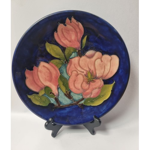 116 - Moorcroft Magnolia Plate, Diameter 26cm