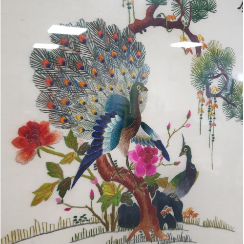 81 - Framed Oriental Embroidered Silk Panel of Peacocks, H:49 x W:39cm