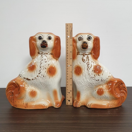 111 - Pair of Staffordshire Dogs, H:28 x W:23cm