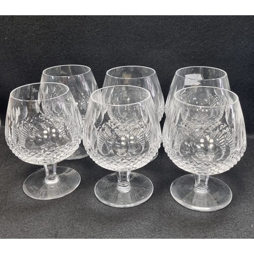 569 - Lot of Six Waterford Crystal Colleen Brandy