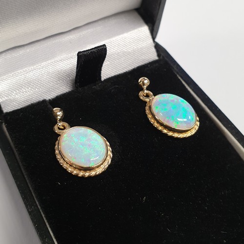 687 - Pair of 9ct Opal Drop Earrings