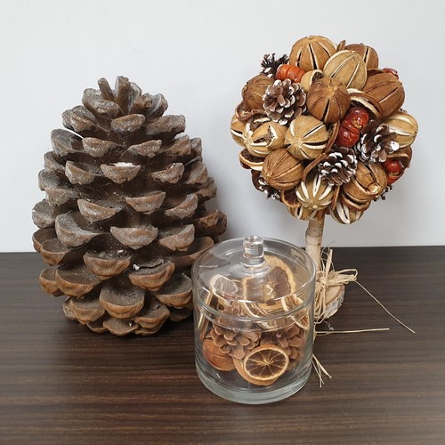 803 - Large Pine Cone, Decorative Festive Tree Ornament and Jar of Dried Decorative Fruits