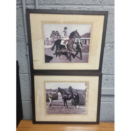 838 - Lot of 2x Framed Photographs of Nijinsky and Northern Dancer