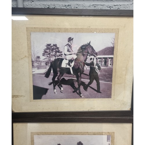 838 - Lot of 2x Framed Photographs of Nijinsky and Northern Dancer