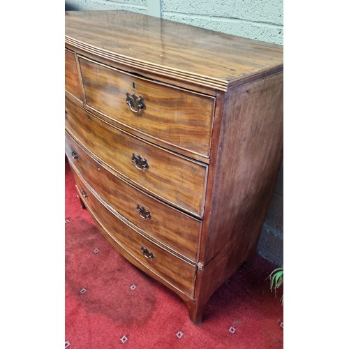 946 - Antique Mahogany Two Over Three Chest of Drawers