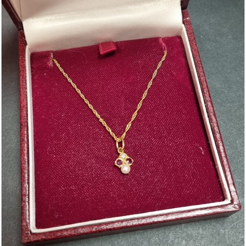 959 - Pendant on 9ct Gold Chain