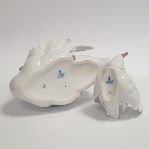 2 - Lot of 2x Lladro Porcelain Swan Ornaments, Largest 19cm tall