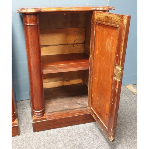 76 - Pair of Mahogany One Door Lockers, H:82 x W:58 x D:46cm