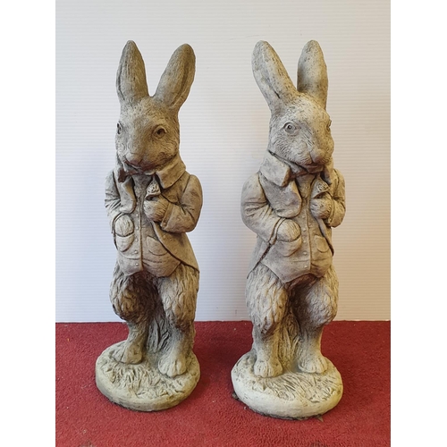 404 - Pair of Concrete Rabbit Ornaments, Height 52cm