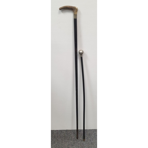 487 - Two Walking Sticks