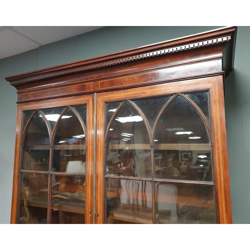 517 - Inlaid Mahogany Bookcase with Four Doors, Two Drawers, Adjustable Shelves. H:215 x W:99 x D:46cm