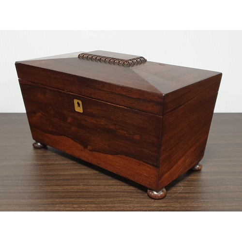 543 - Victorian Rosewood Tea Caddy with Two Compartments