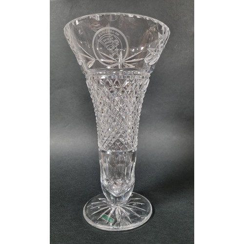 831 - Galway Crystal Vase 