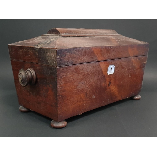 488 - Antique Rosewood Tea Caddy with contents, H:20 x W:25 x D:17cm