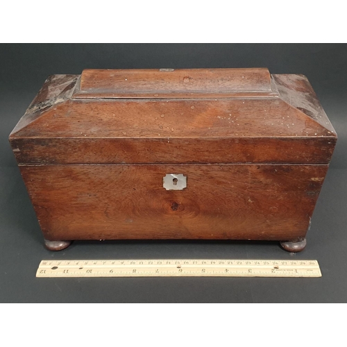 488 - Antique Rosewood Tea Caddy with contents, H:20 x W:25 x D:17cm