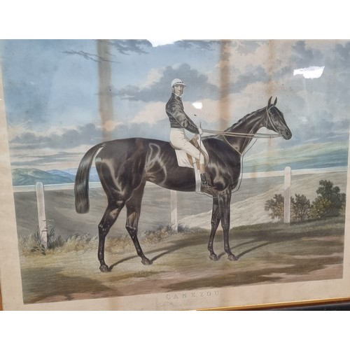 105 - Pair of Antique Framed Race Horse Themed Engravings -  Stockwell & Canezou, Painted By Harry Hall an... 