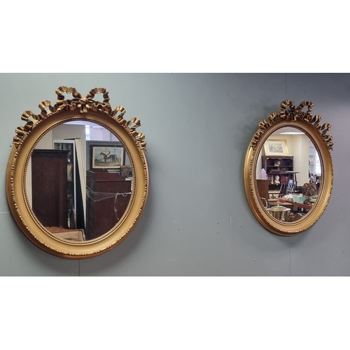 171 - Pair of Gilt Oval Ornate Bow Mirrors H: 83cm x W: 65cm