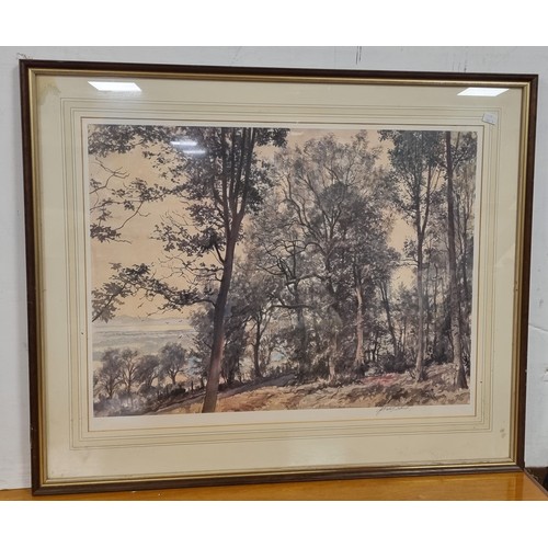 150 - Large Framed Watercolour James McIntosh Patrick,  Woodland Scene, Signed  H: 75cm x W: 89cm