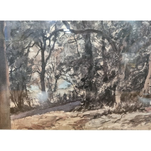 150 - Large Framed Watercolour James McIntosh Patrick,  Woodland Scene, Signed  H: 75cm x W: 89cm