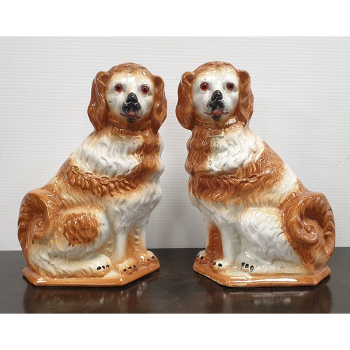 429 - Pair of Staffordshire Dog Ornaments H: 34cm