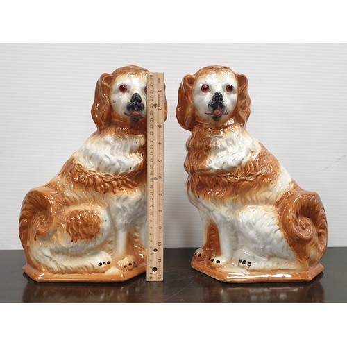 429 - Pair of Staffordshire Dog Ornaments H: 34cm